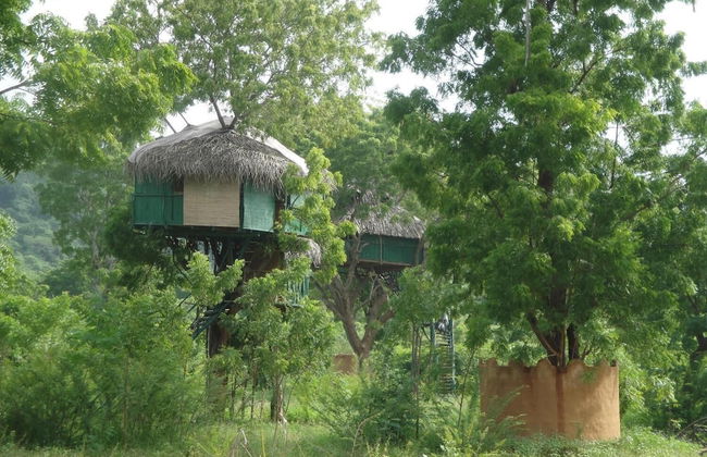 Beddegama Eco - Photo 38