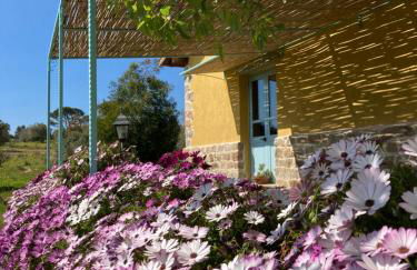 Agriturismo Is Conchisceddas - Foto 58