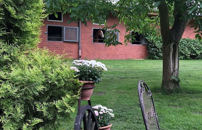 Holiday Home in Kirchdorf With Swimming Pool - Foto 11