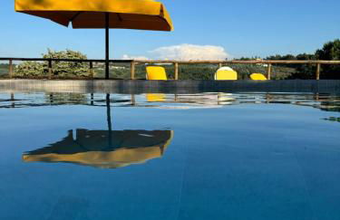 Quinta da Xistosa - Photo 3