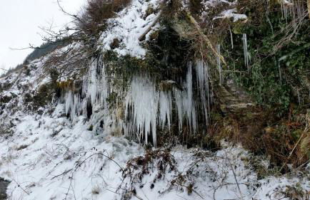 Plas Canol, elegant home in Snowdonia village - Foto 49