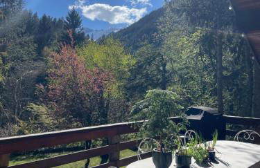 Large peaceful chalet for mountain adventures! Perfect for Flégère and Grand Montet skiing - Foto 35