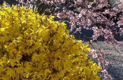 Agriturismo Cascina Knec - Photo 22