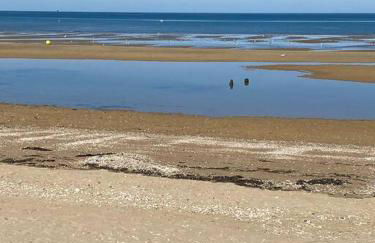 Ravissante maison en bord de mer - Foto 18