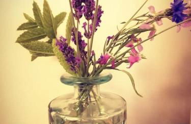 Garden Apartment Morpeth- with lockable bike storage! - Foto 17