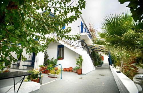 Plumeria Flowery - Foto 29