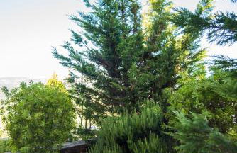 Villa Eleftheria, Lakithra - Spacious luxury villa with pool and stunning views - Foto 23