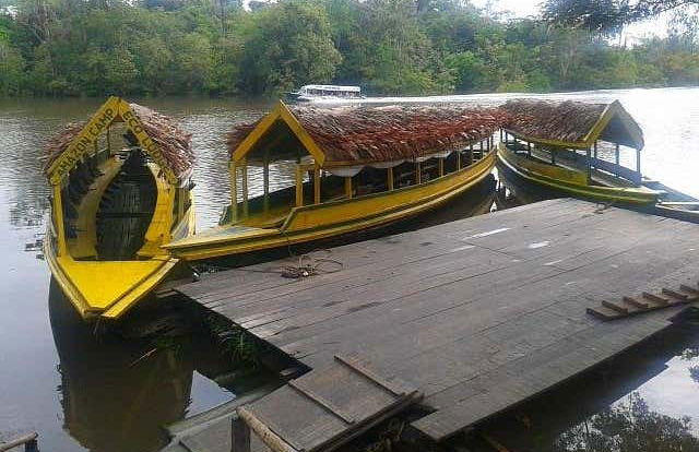 2, 3, 4, or 5-Day Peruvian Amazon Trip - Photo 5