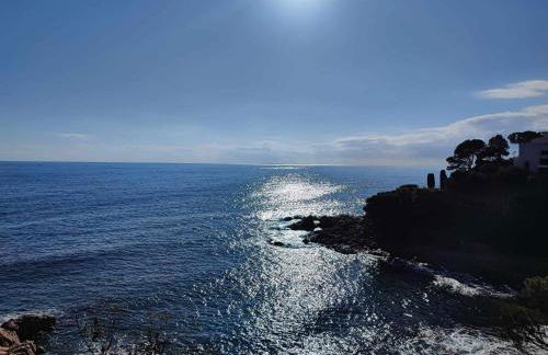 Espiga, Cala privada Tossa de Mar - Foto 20