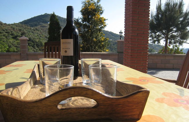 Independent Villa With Private Pool on an Estate in Sayalonga Costa del Sol - Photo 26