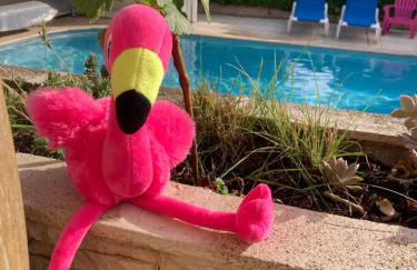 Les Bougainvillées de Camargue - Photo 59