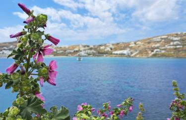 Kalypso Pool Villa at Ornos - Foto 34