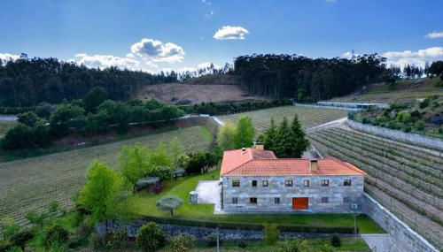 Quinta Picouto de Cima - Foto 3