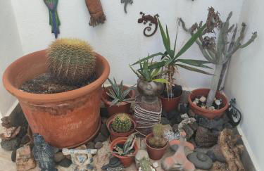 Love for Lanzarote holidays house - Foto 14