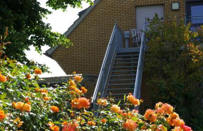 Ferienwohnung Wiesenblick - Foto 2