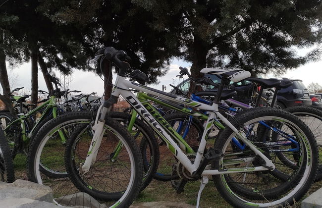 Wine & SPA Complex Starossel - Photo 25