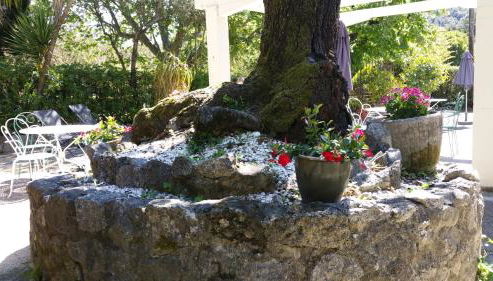 Le Clos du Loup - Foto 2