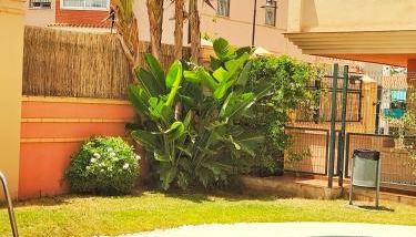 Apartamento nuevo con parking y piscina gratis - Photo 2