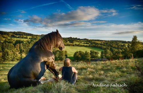 Ferienwohnung auf dem Pferdehof - Foto 8