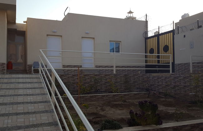 Alestiraha Elegant - Foto 18