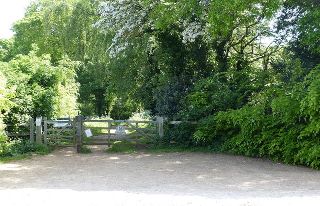 Hill Cottage - Photo 33