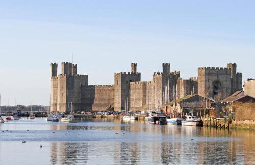 Tyddyn Parthle Pod 1 - Foto 19