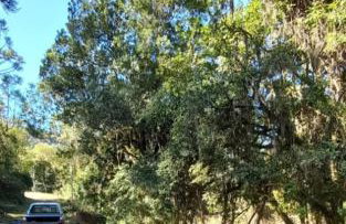 Cabanas do Rio - Photo 6