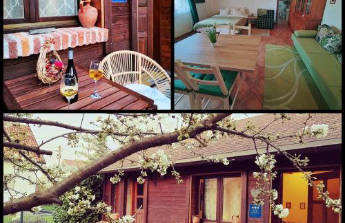 Studio apartman Buteo - Photo 19