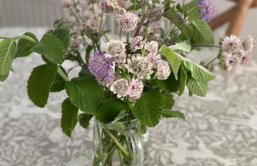 Dukes Well - Photo 36