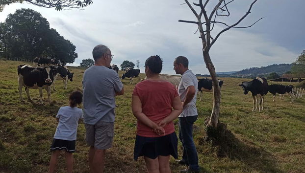 Visita a una granja de vacas lecheras - Photo 3