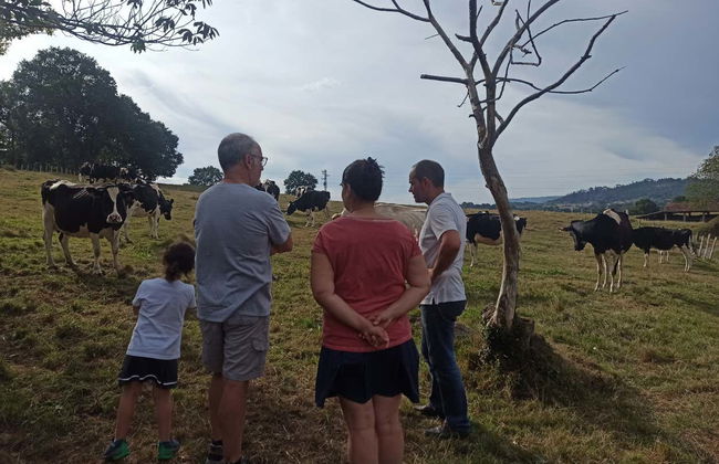 Visita a una granja de vacas lecheras - Foto 3