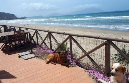 Rocky & Lia - Foto 8