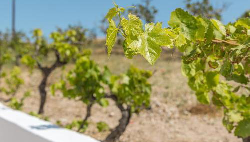 Kondylis Cottage - Foto 5