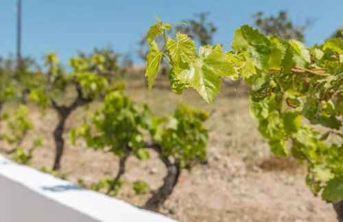 Kondylis Cottage - Photo 5