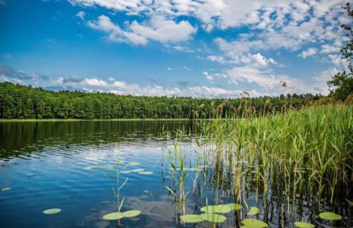 Scandinavian house overlooking the lake - Foto 33