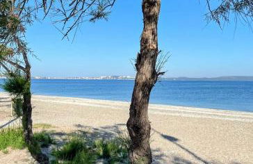 Les Bruyères - Foto 6