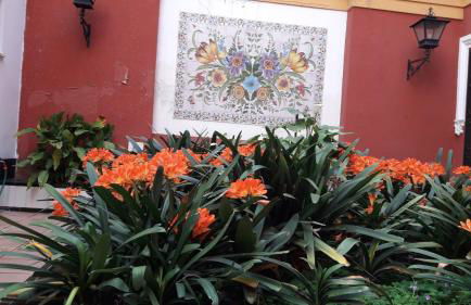 Pilatos Central Superior - Foto 9