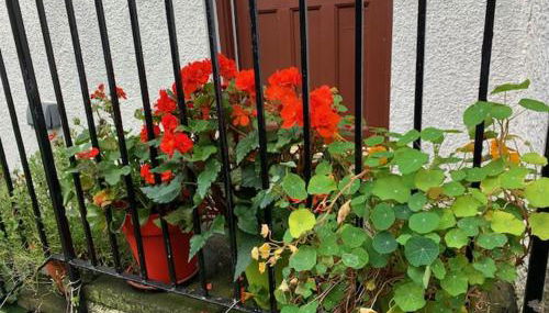 Cosy cottage flat - Foto 2