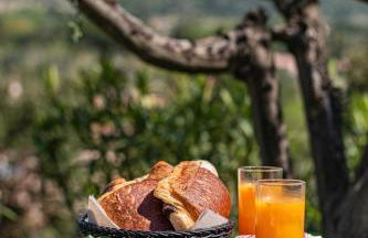 Le Clos des Eucalyptus - Foto 51