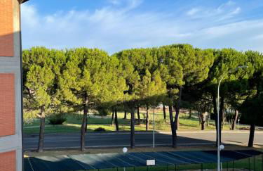 Tulip’house - Foto 11