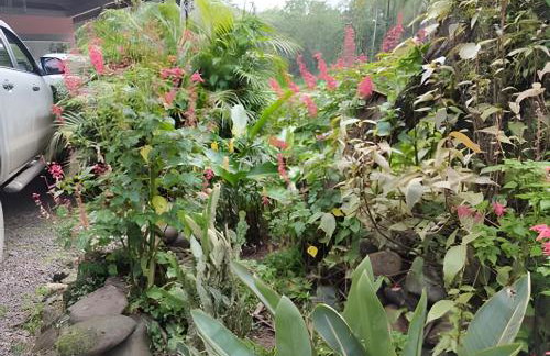Chácara Morretes Arraial - Piscina e Rio - Photo 62