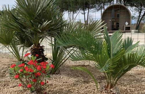 Villa Donnola: casa Rosmarino - Foto 24