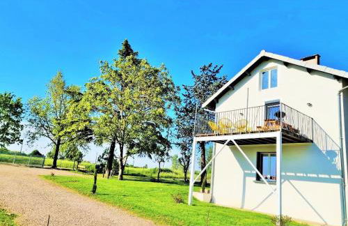 Le Cottage Nature Loin de l'oeil Clim Gaillac entre Albi-Toulouse & Les Cottages du Tarn - Foto 17