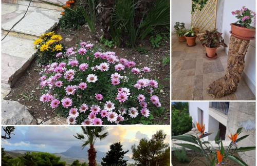 I FIORI DI LEA - Foto 17