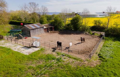 Ferienwohnung Fachwerkhaus - Westen oben - Bauernhof Hopp Vadersdorf - Foto 4
