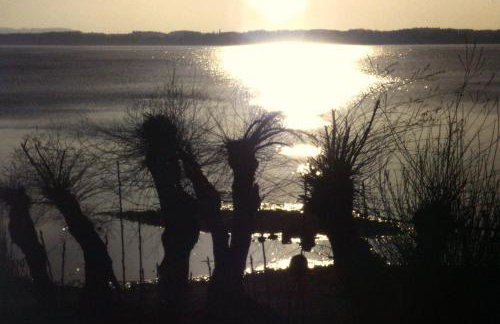 Ferienwohnung Chiemseestrand Nr. 16 - Photo 20