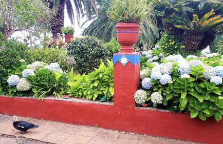 Finca La Principal - Foto 112