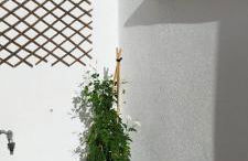 Apartamento Plumaria - Photo 11