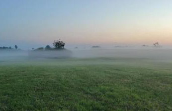 Stara Stolarnia - Foto 60