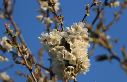 Casa vacanze Ester - Foto 59